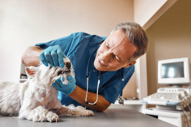 Best Emergency Care for Gum Disease in Boron, CA
